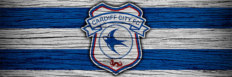 nuova maglie Cardiff City